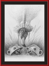 Flamingo and Hedgehogs (Drawing) Art Print