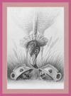 Flamingo and Hedgehogs (Drawing) Art Print