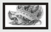 The Old Crab (Drawing) Art Print