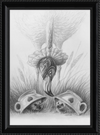 Flamingo and Hedgehogs (Drawing) Art Print