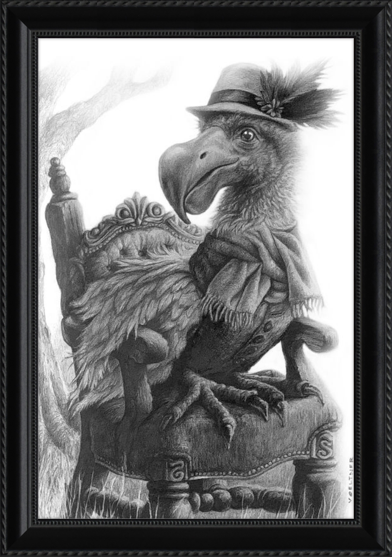 The Dodo (Drawing) Art Print