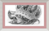 The Old Crab (Drawing) Art Print