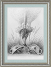 Flamingo and Hedgehogs (Drawing) Art Print