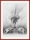 Flamingo and Hedgehogs (Drawing) Art Print