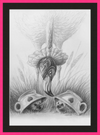 Flamingo and Hedgehogs (Drawing) Art Print