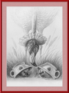 Flamingo and Hedgehogs (Drawing) Art Print