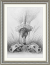 Flamingo and Hedgehogs (Drawing) Art Print