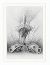 Flamingo and Hedgehogs (Drawing) Art Print