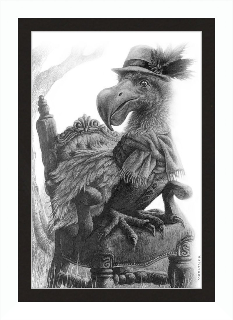 The Dodo (Drawing) Art Print