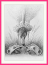 Flamingo and Hedgehogs (Drawing) Art Print