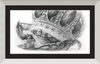 The Old Crab (Drawing) Art Print