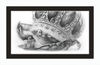 The Old Crab (Drawing) Art Print