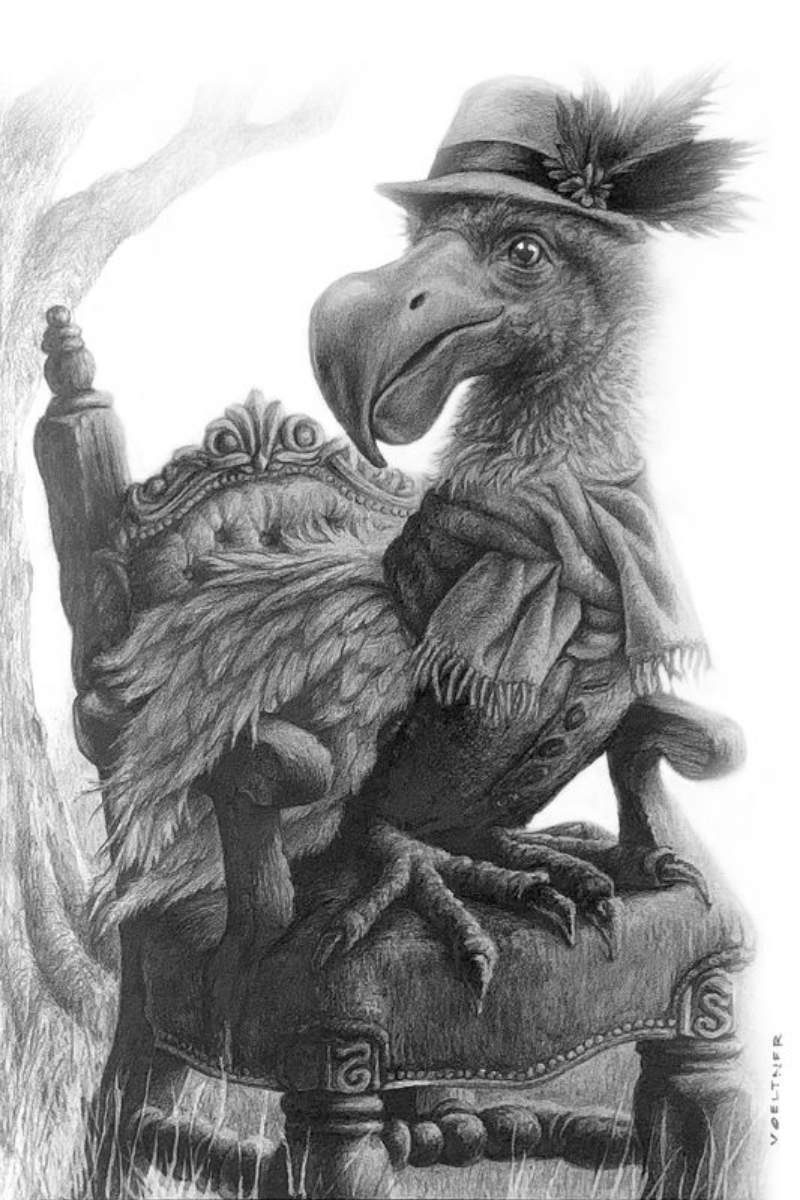 The Dodo (Drawing) Art Print