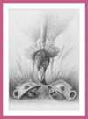 Flamingo and Hedgehogs (Drawing) Art Print