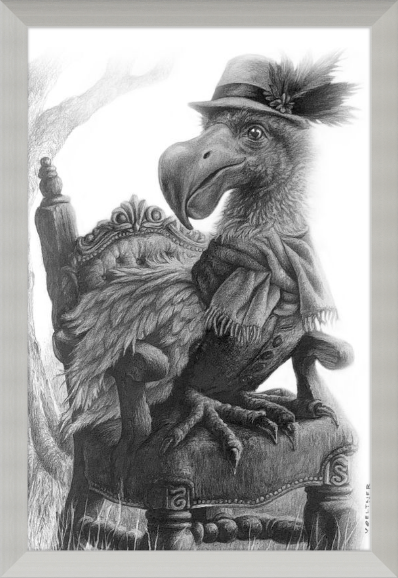 The Dodo (Drawing) Art Print