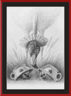 Flamingo and Hedgehogs (Drawing) Art Print