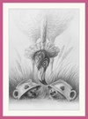 Flamingo and Hedgehogs (Drawing) Art Print