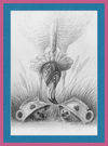 Flamingo and Hedgehogs (Drawing) Art Print