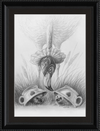 Flamingo and Hedgehogs (Drawing) Art Print