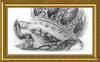 The Old Crab (Drawing) Art Print