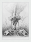Flamingo and Hedgehogs (Drawing) Art Print