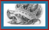 The Old Crab (Drawing) Art Print