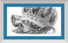 The Old Crab (Drawing) Art Print