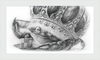 The Old Crab (Drawing) Art Print