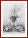 Flamingo and Hedgehogs (Drawing) Art Print