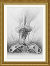 Flamingo and Hedgehogs (Drawing) Art Print