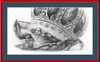 The Old Crab (Drawing) Art Print
