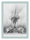 Flamingo and Hedgehogs (Drawing) Art Print
