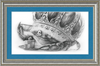The Old Crab (Drawing) Art Print