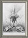Flamingo and Hedgehogs (Drawing) Art Print