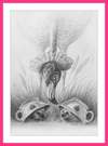 Flamingo and Hedgehogs (Drawing) Art Print