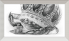 The Old Crab (Drawing) Art Print