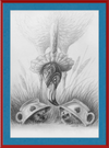 Flamingo and Hedgehogs (Drawing) Art Print