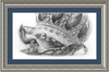 The Old Crab (Drawing) Art Print