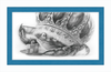 The Old Crab (Drawing) Art Print