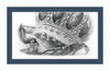 The Old Crab (Drawing) Art Print