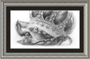 The Old Crab (Drawing) Art Print
