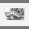 The Old Crab - Original Artwork