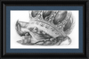The Old Crab (Drawing) Art Print