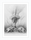 Flamingo and Hedgehogs (Drawing) Art Print