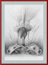 Flamingo and Hedgehogs (Drawing) Art Print