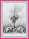 Flamingo and Hedgehogs (Drawing) Art Print