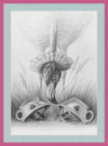 Flamingo and Hedgehogs (Drawing) Art Print