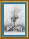 Flamingo and Hedgehogs (Drawing) Art Print