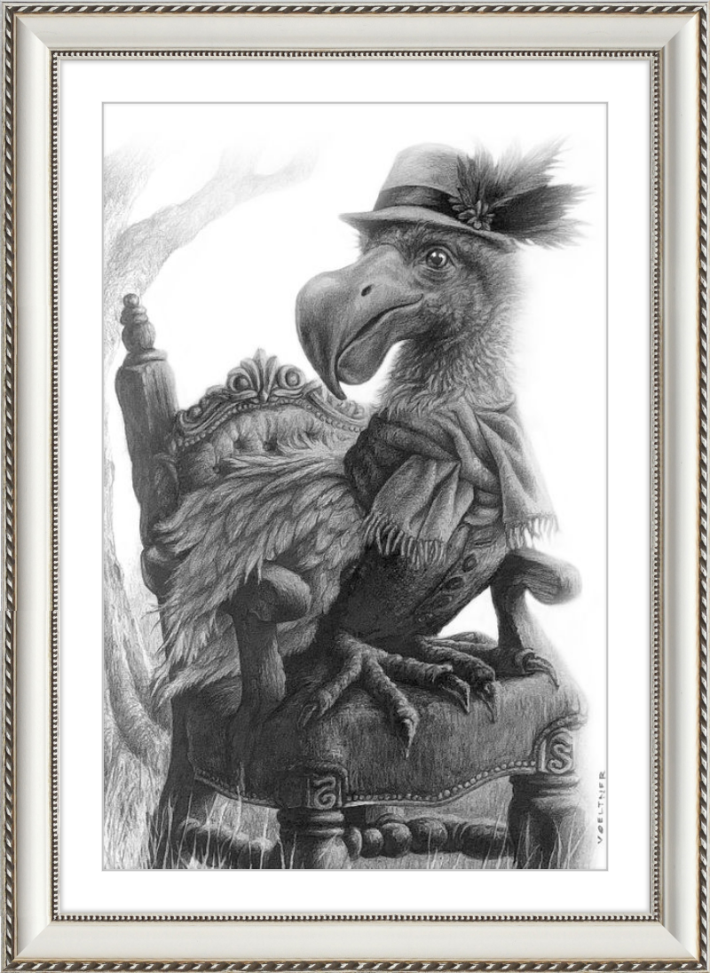 The Dodo (Drawing) Art Print
