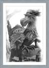 The Dodo (Drawing) Art Print